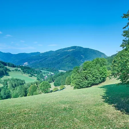 Mittendrin